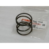 SPRING, COMPRESSION(8DA)